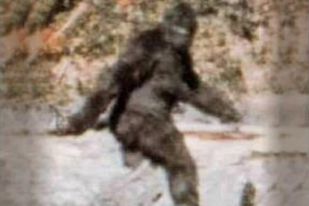 Loi giai qua choang ve su ton tai cua quai vat Bigfoot-Hinh-2