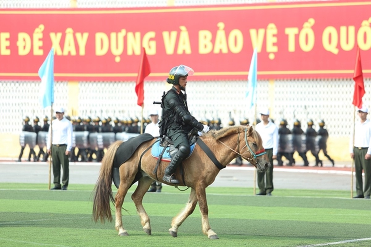 Canh sat co dong Ky binh pho dien ky thuat cuc dinh tren lung ngua-Hinh-4