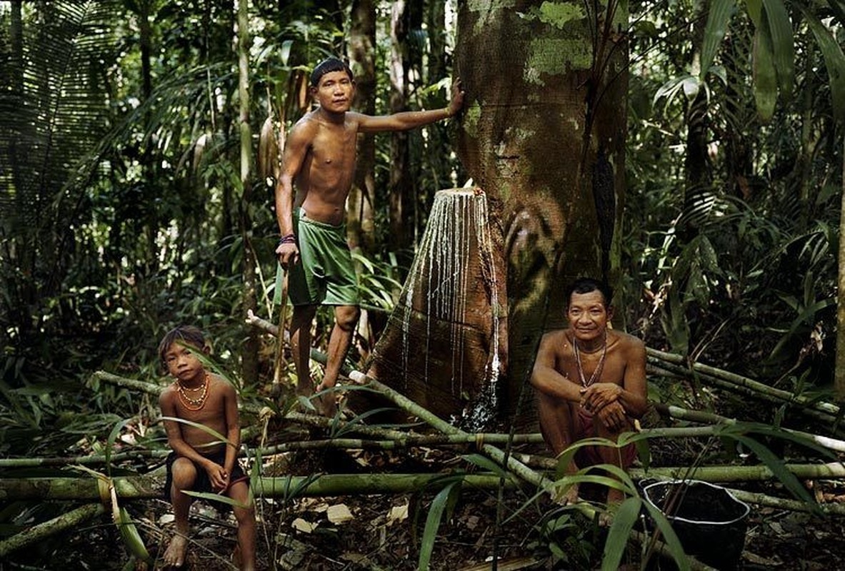 Kho tin bo toc khong dam ngu nhieu vi so mat quyen luc-Hinh-2