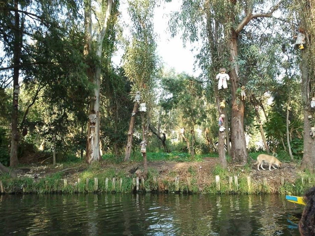 Loi don am anh tren hon dao toan bup be quai di-Hinh-8