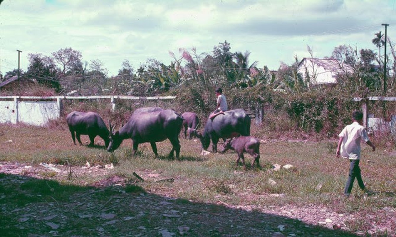 He lo anh mau it biet ve Viet Nam cuoi nhung nam 1960-Hinh-7