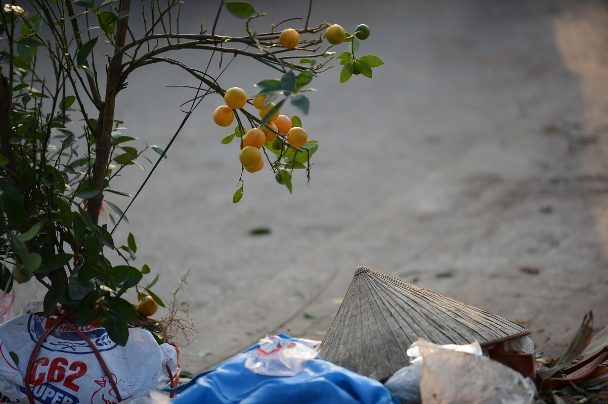 Cay canh Tet chieu 30, ban re nhu cho... khach van khong buon 