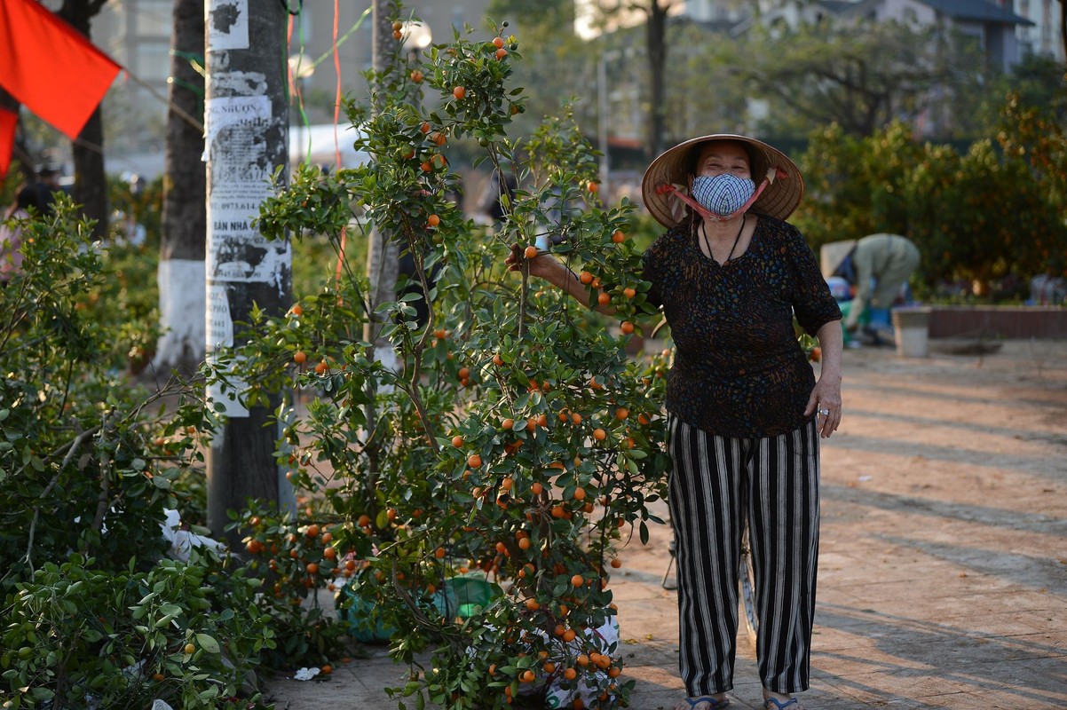 Cay canh Tet chieu 30, ban re nhu cho... khach van khong buon 