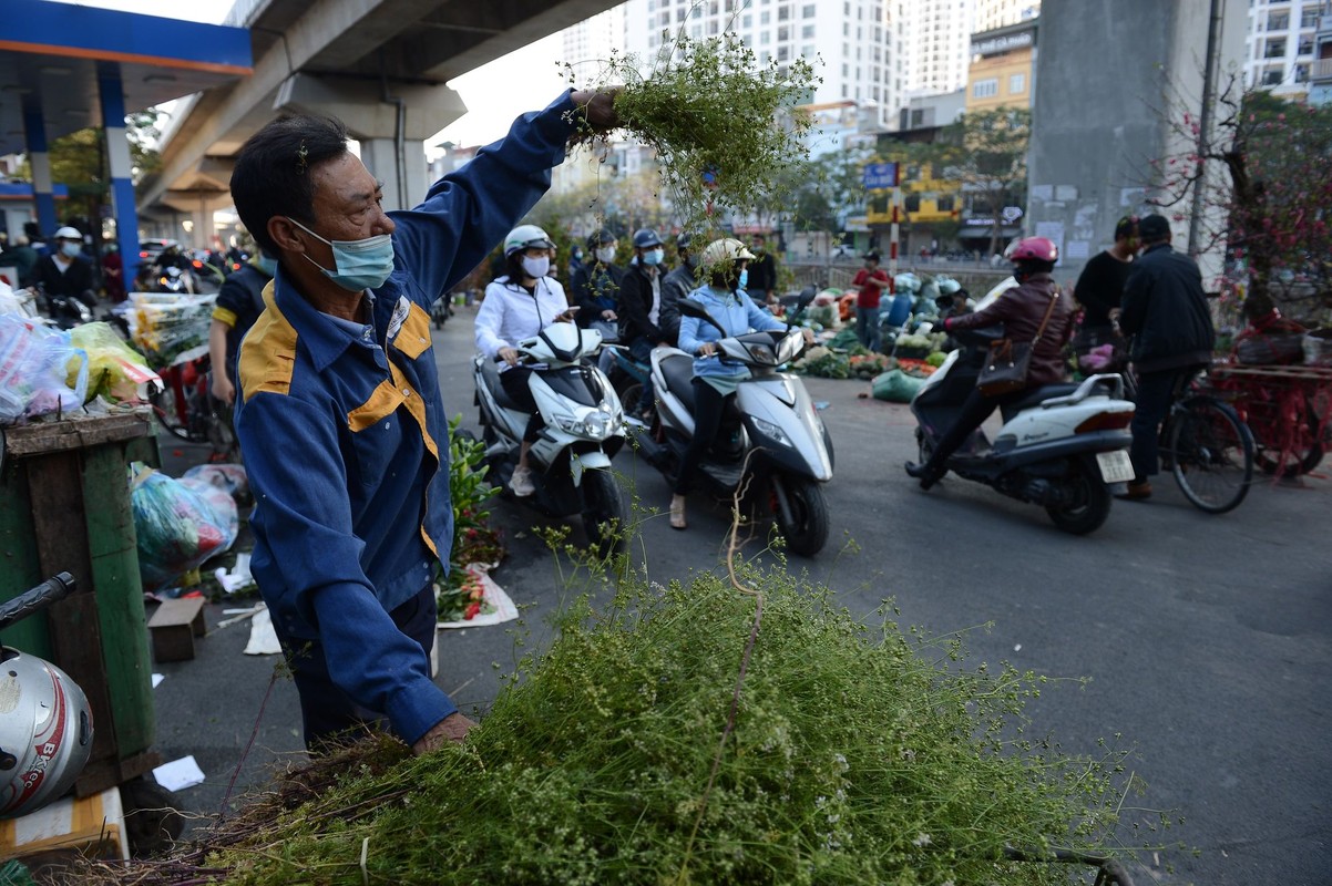 Nguoi dan Ha Noi di cho cuoi nam mua la mui tam “tay tran“-Hinh-10