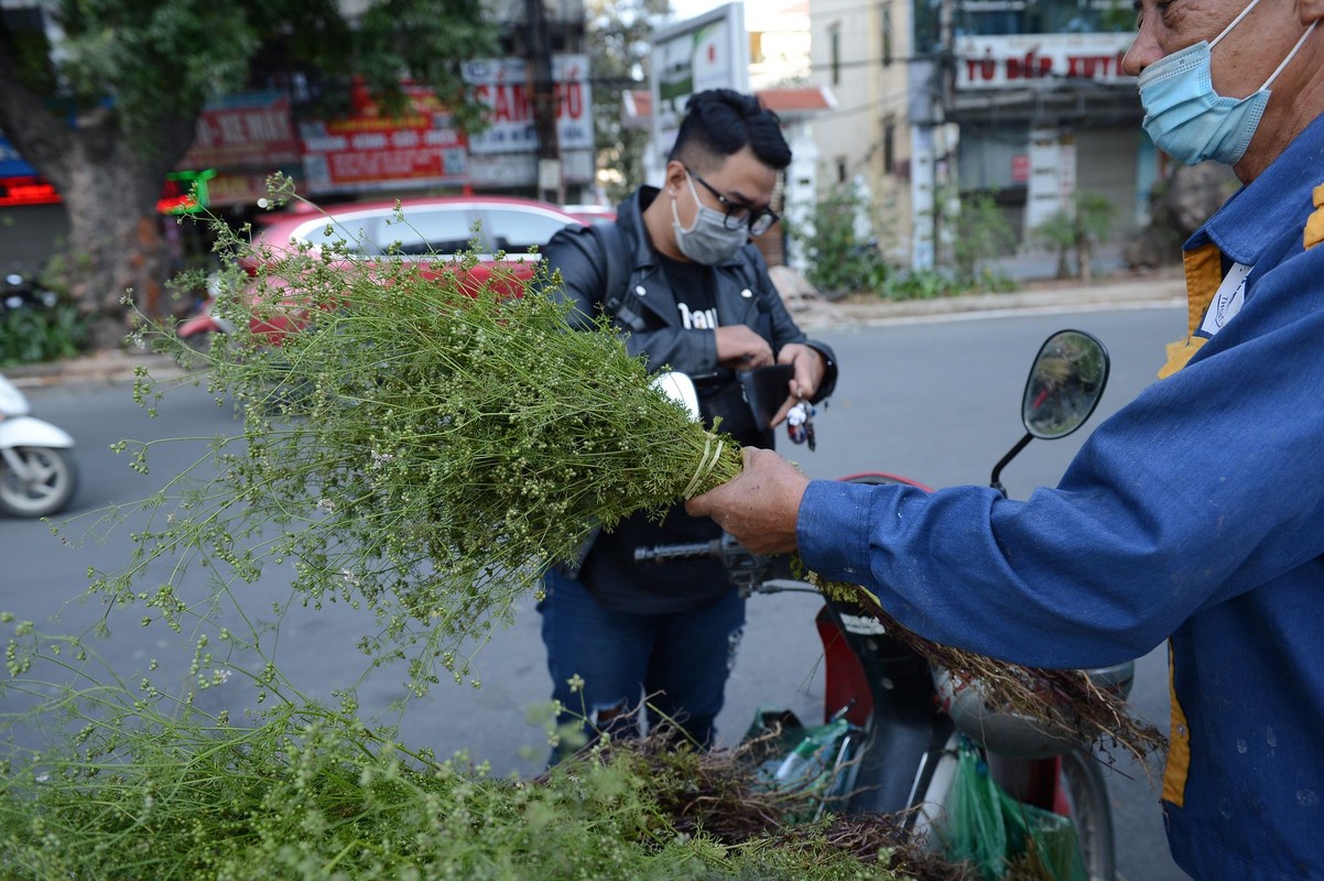 Nguoi dan Ha Noi di cho cuoi nam mua la mui tam “tay tran“-Hinh-5