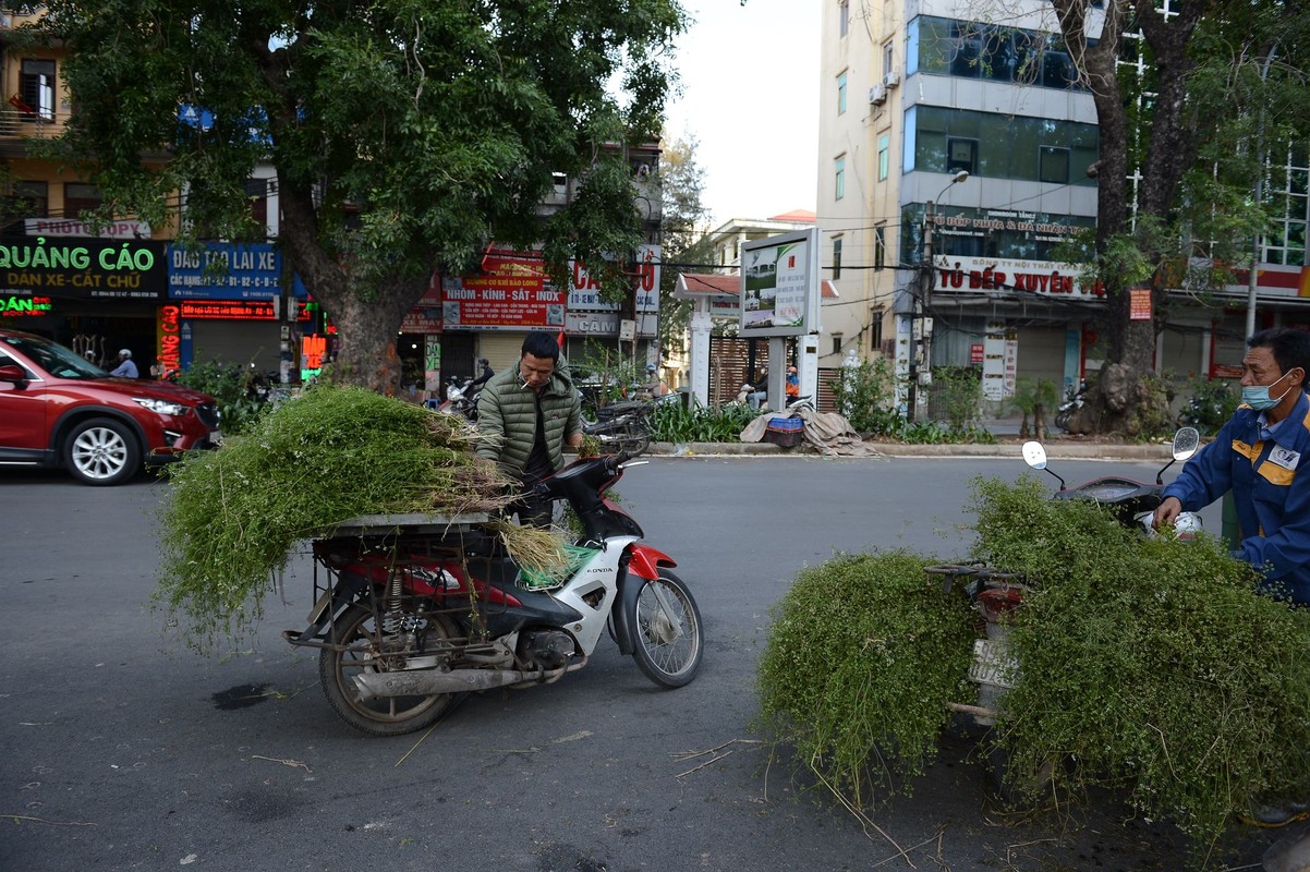 Nguoi dan Ha Noi di cho cuoi nam mua la mui tam “tay tran“-Hinh-6