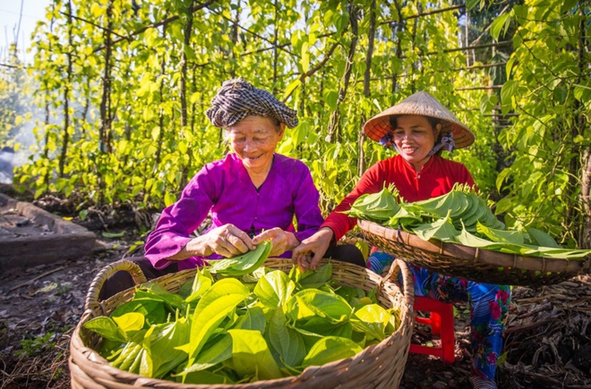 Thanh pho duy nhat nuoc ta ten phuong dat theo so La Ma-Hinh-6