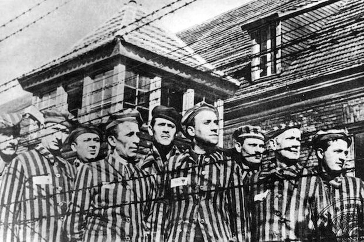 Nu ho sinh nguoi Ba Lan cuu song nhieu tre em o trai Auschwitz-Hinh-8