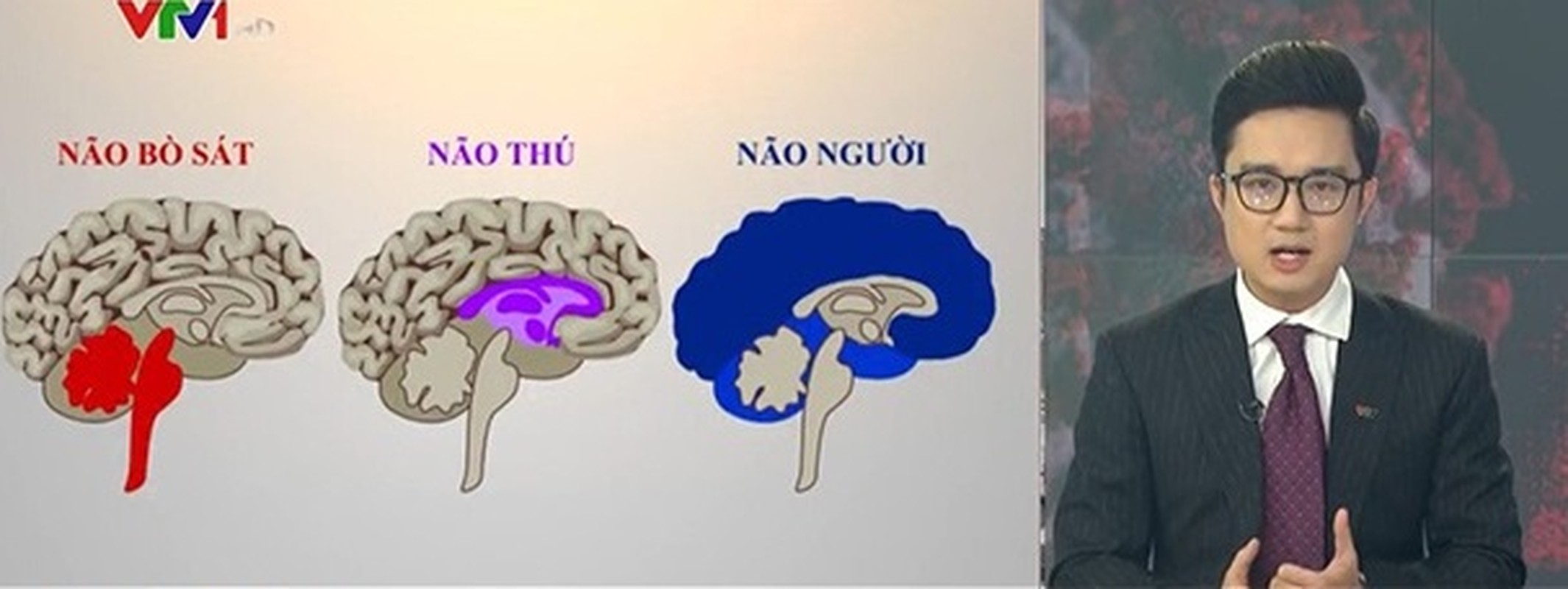 Nao bo sat, nao thu, nao nguoi VTV24: Gia thuyet 3 cap do nao sai lam?