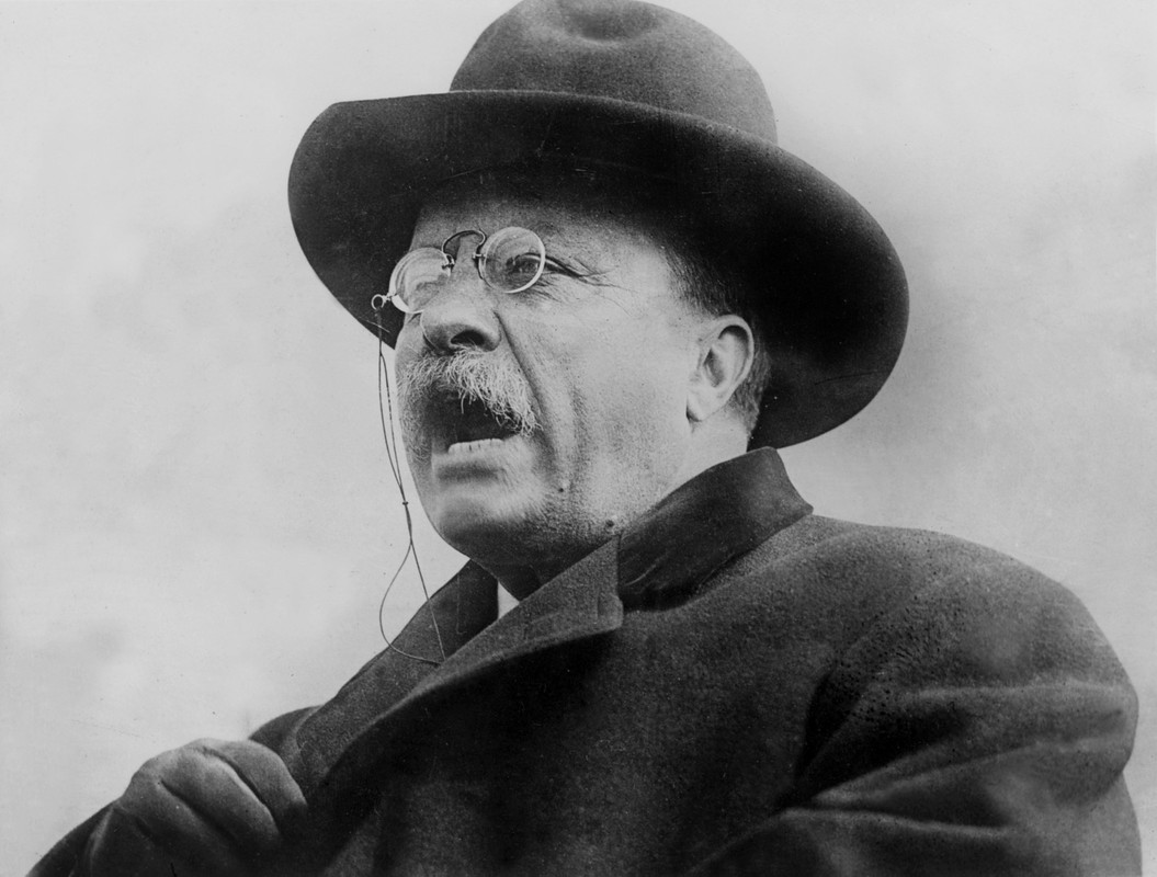 Cuc soc ly do Tong thong My Theodore Roosevelt suyt mu mot mat-Hinh-6