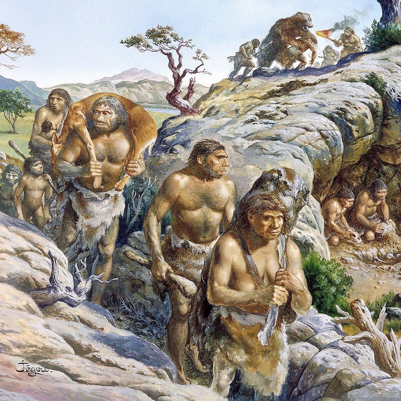 Bat ngo ly do nguoi Neanderthal co nao lon hon nguoi hien dai-Hinh-5