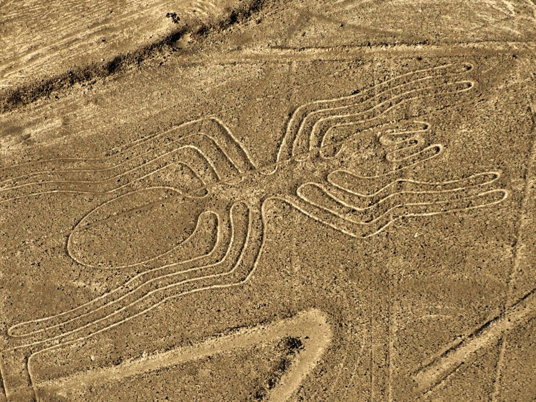 Nong: UFO cua nguoi ngoai hanh tinh tung ha canh o sa mac Nazca?-Hinh-2