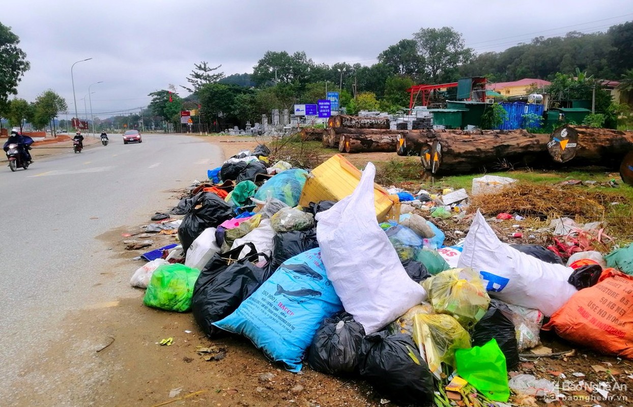 Sau Tet, nhieu tuyen duong o Nghe An ngap rac thai-Hinh-8