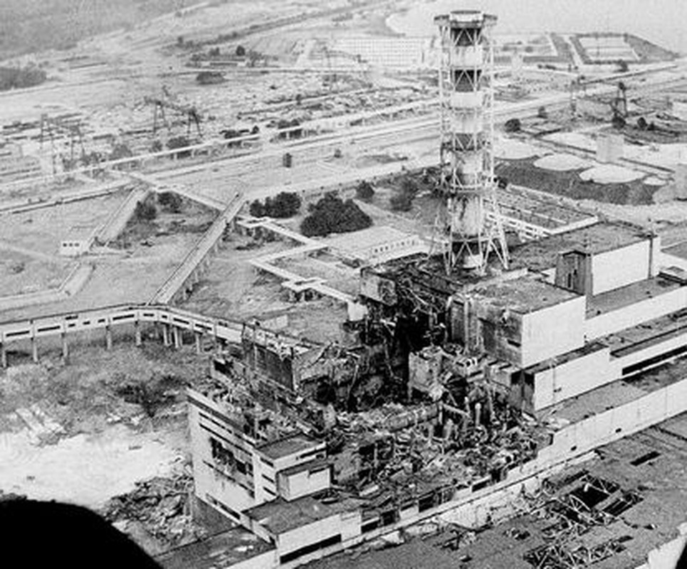 Su that hai hung “khu rung Do” lien quan den tham hoa hat nhan Chernobyl-Hinh-3
