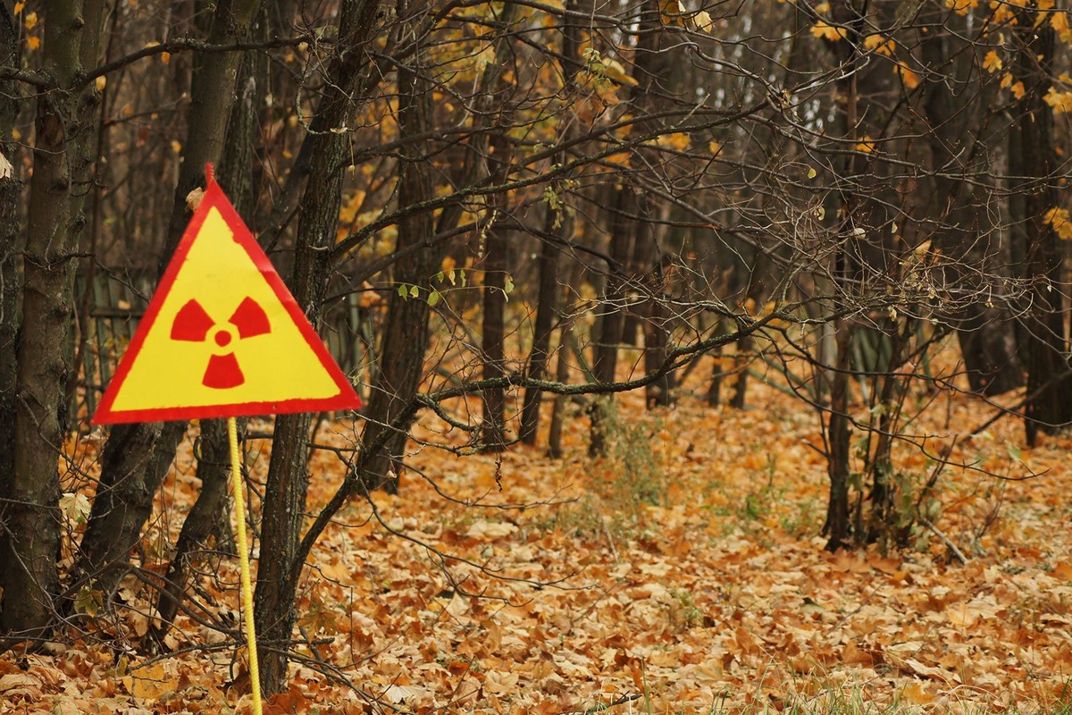 Su that hai hung “khu rung Do” lien quan den tham hoa hat nhan Chernobyl-Hinh-5