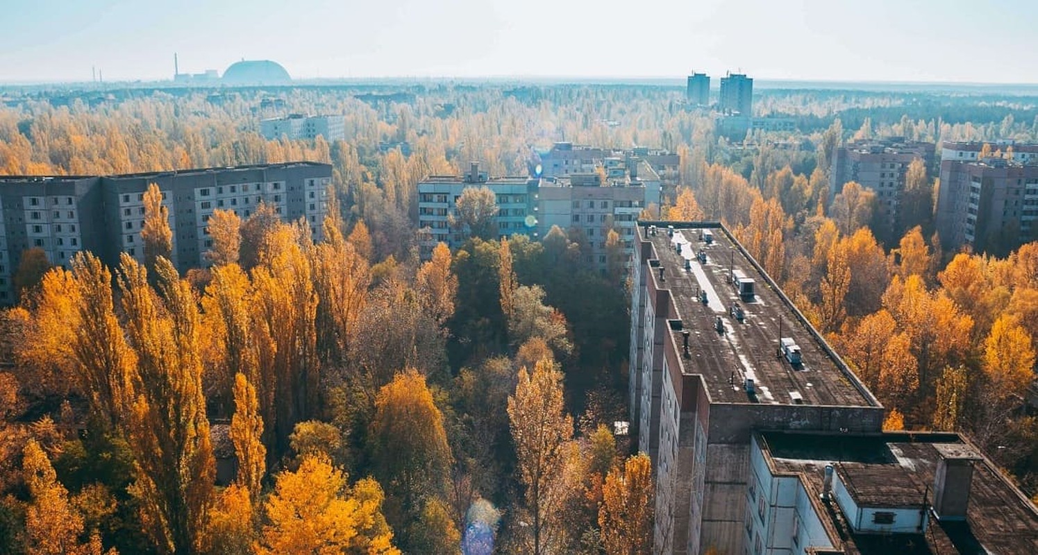 Su that hai hung “khu rung Do” lien quan den tham hoa hat nhan Chernobyl-Hinh-9