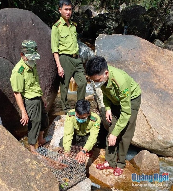 VQG Vu Quang tiep nhan 2 ca the rua sa nhan: Loai quy hiem!-Hinh-10