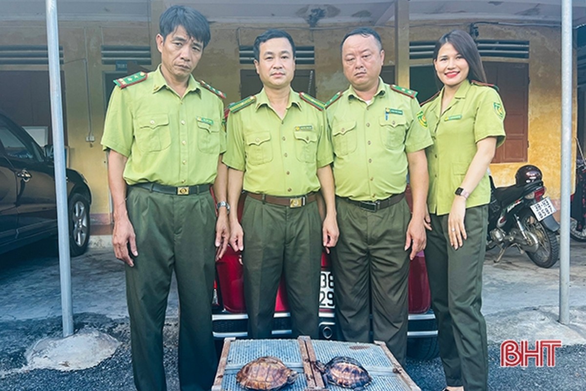 VQG Vu Quang tiep nhan 2 ca the rua sa nhan: Loai quy hiem!