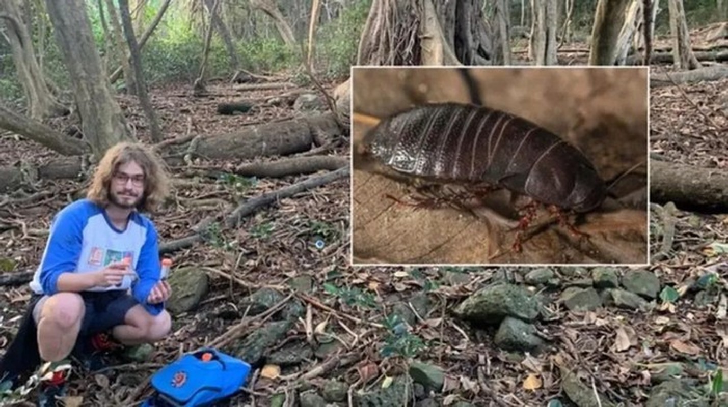 Gian khong lo tuong da tuyet chung, sau 80 nam bat ngo lo dien