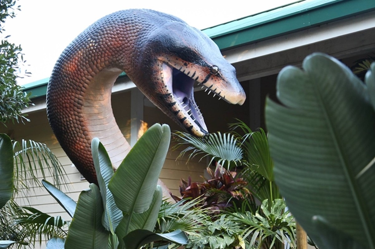 View - 	Loài rắn khổng lồ hơn 1 tấn từng ngự trị trên Trái đất