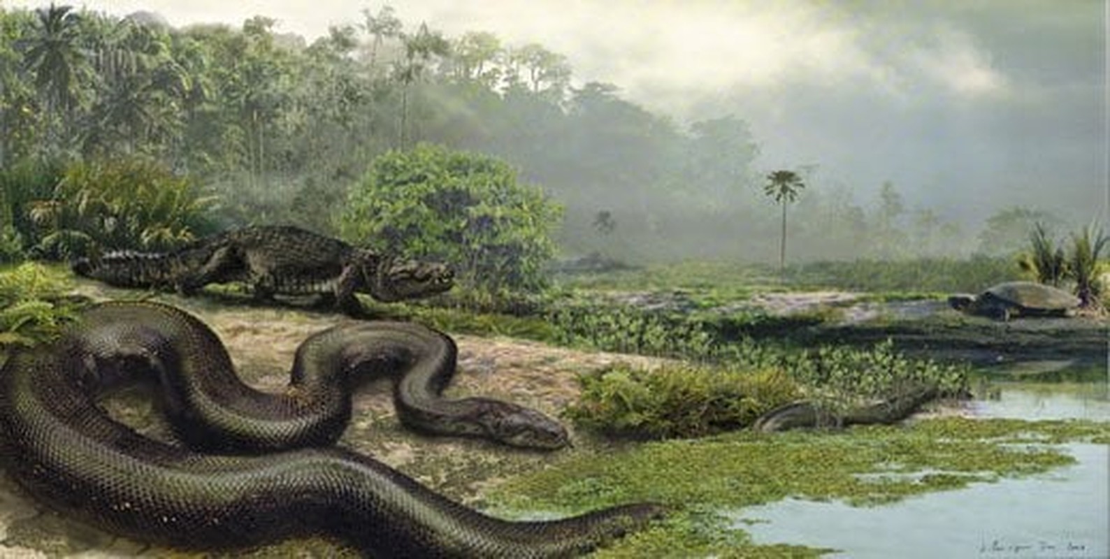 View - 	Loài rắn khổng lồ hơn 1 tấn từng ngự trị trên Trái đất