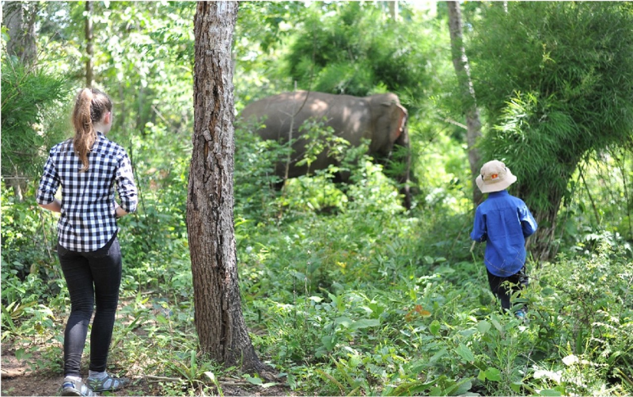 Voi Rok quy hiem sao Dak Lak len phuong an bao ton gap?-Hinh-2