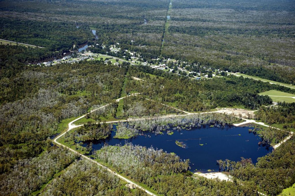 Bi an vung dam lay “nuot cay” khien chuyen gia roi nao-Hinh-4