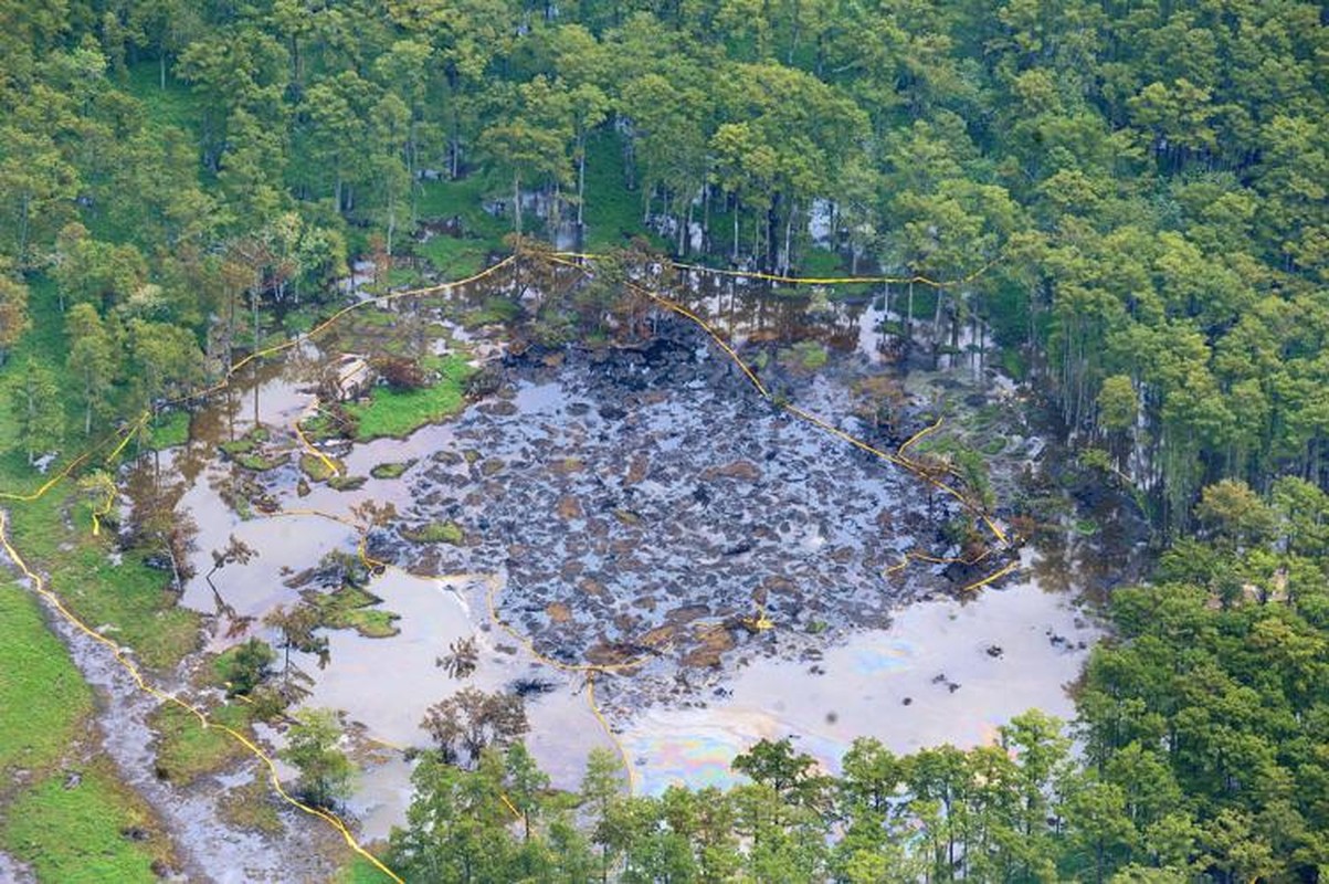 Bi an vung dam lay “nuot cay” khien chuyen gia roi nao