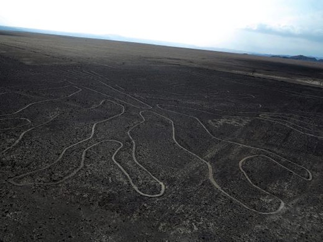 Vi sao nen van minh Nazca tao ra nhung hinh ve bi an nhat Peru?-Hinh-7