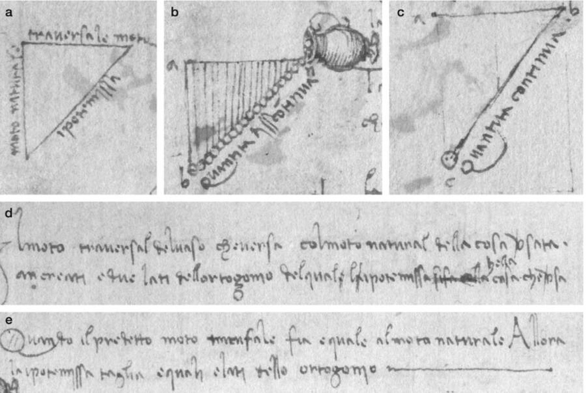 Tuyen bo soc: Leonardo da Vinci nghien cuu ve luc hap dan truoc Newton?-Hinh-2