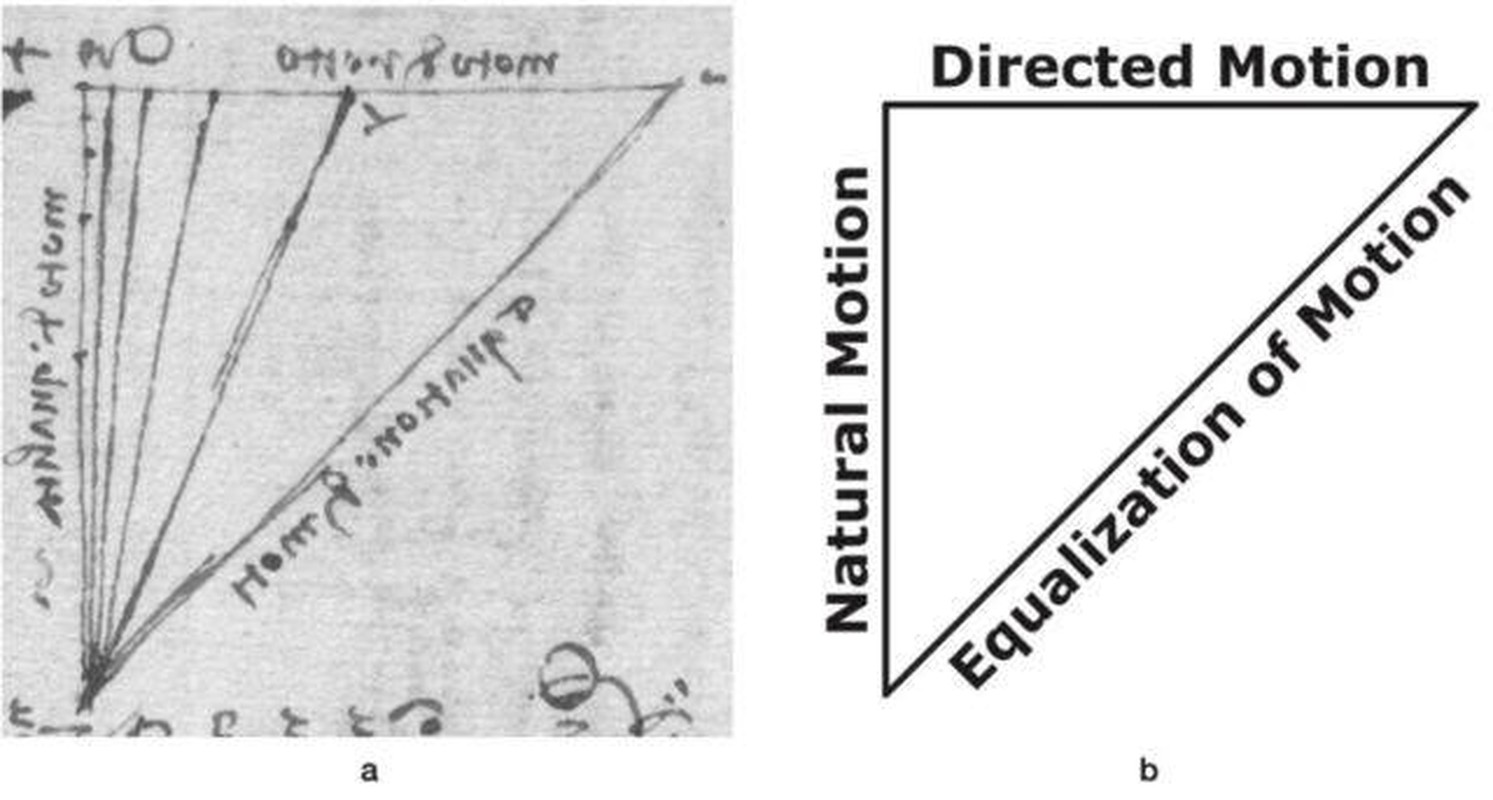 Tuyen bo soc: Leonardo da Vinci nghien cuu ve luc hap dan truoc Newton?-Hinh-3