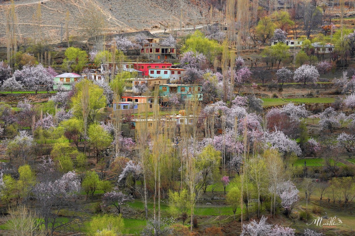 Thien duong hoa ruc ro, nen tho giua thung lung Hunza-Hinh-10