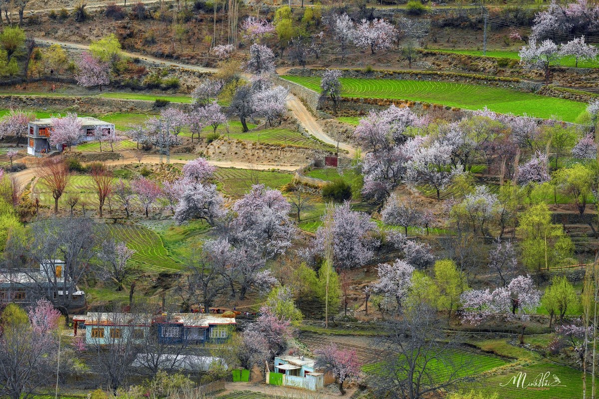 Thien duong hoa ruc ro, nen tho giua thung lung Hunza-Hinh-8