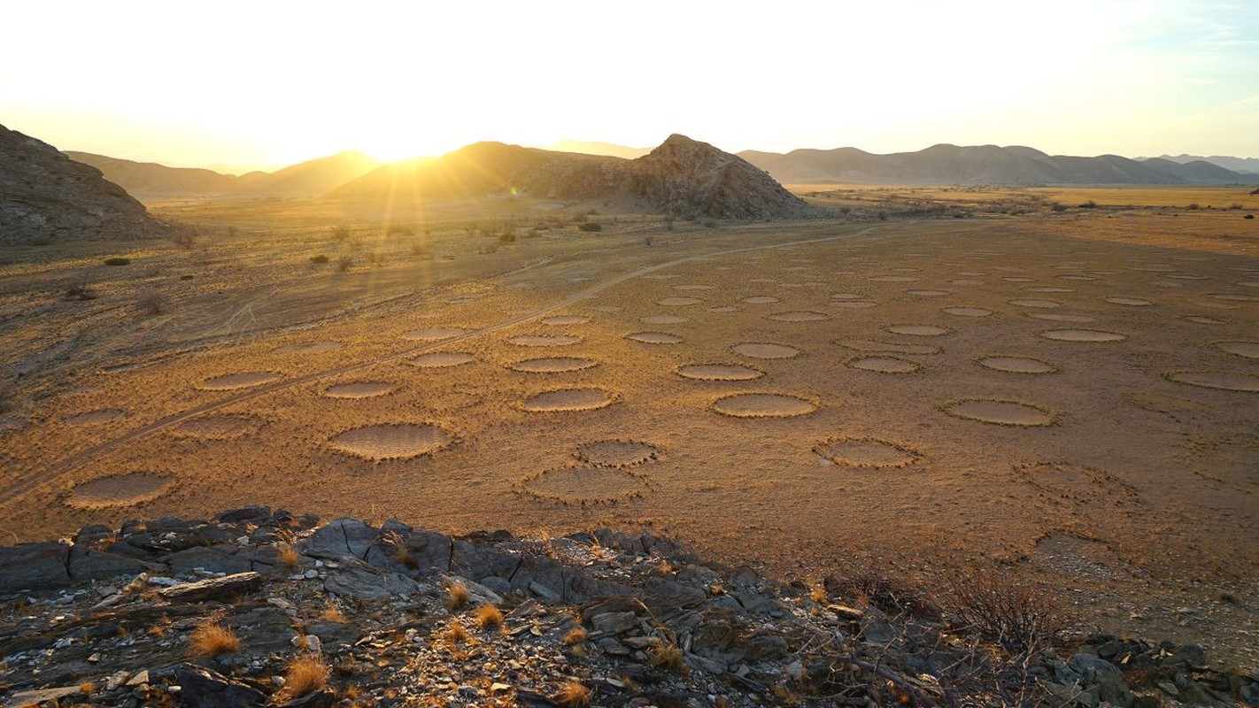 Loi giai nao cho nhung “vong tron than tien” o sa mac Namibia?-Hinh-9