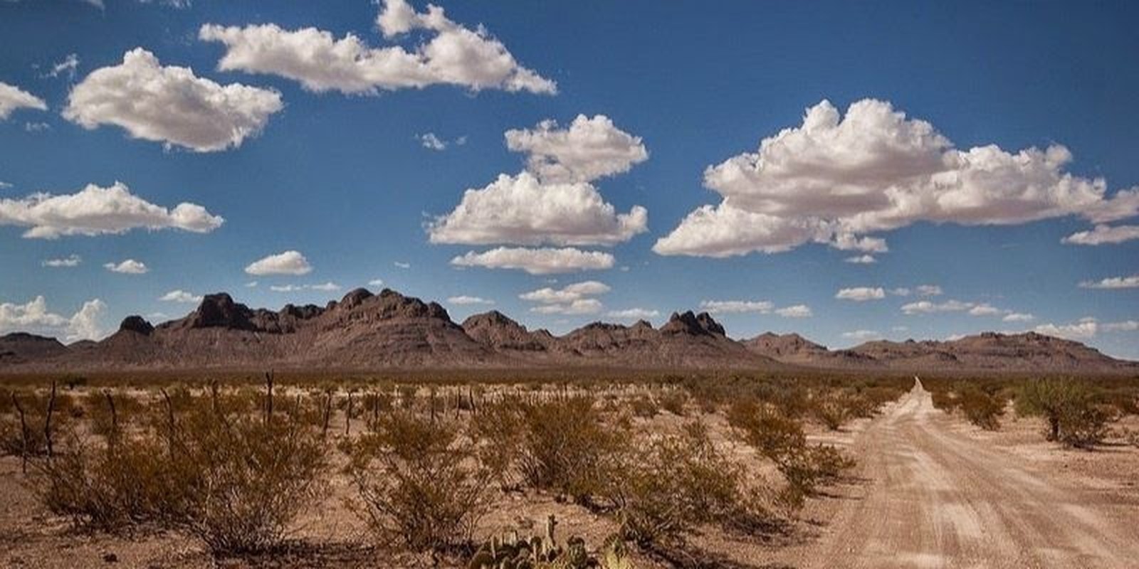 Bi an nhung chuyen ky la xay ra o “Vung im lang” cua Mexico-Hinh-7