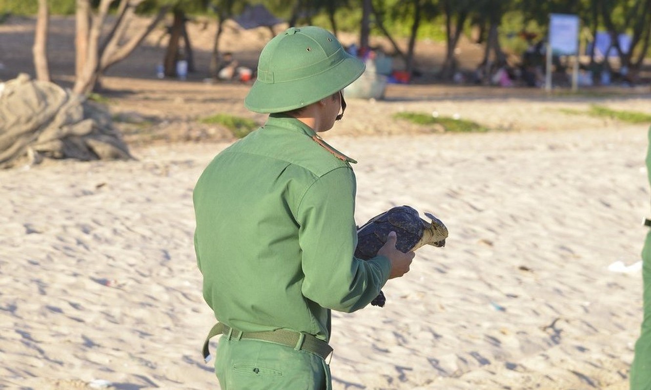 Soi sinh vat sap tuyet chung dan Ba Ria - Vung Tau moi phat hien-Hinh-4