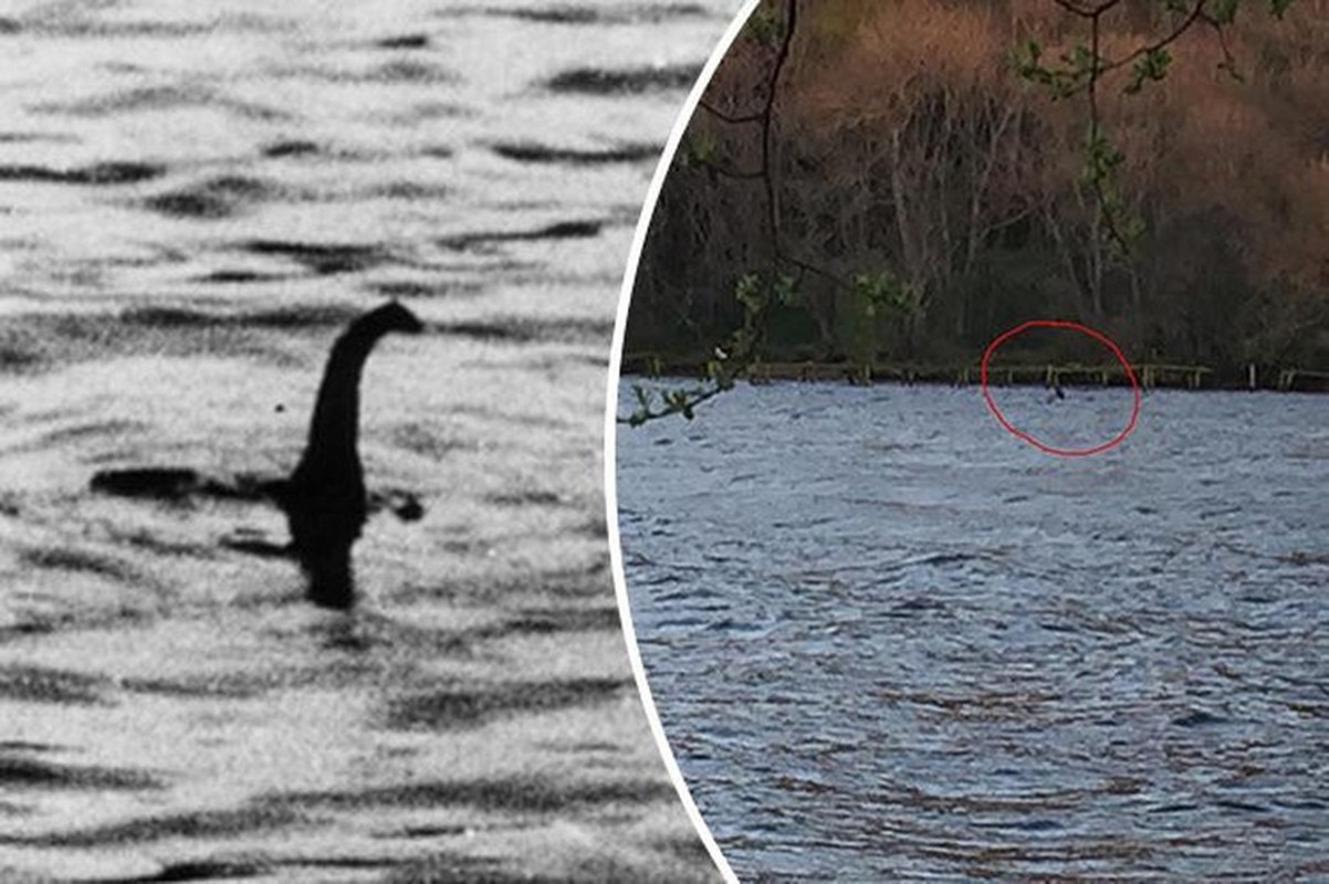 The loch ness monster has a. Несси Лохнесское чудовище. Озеро Лохнесс и Лохнесское чудовище. Озеро Лохнесс Несси. Эван Баррон Лохнесское чудовище.