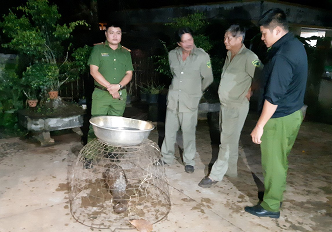 Voi cai co don va loat dong vat hoang da “di lac” o Viet Nam-Hinh-8