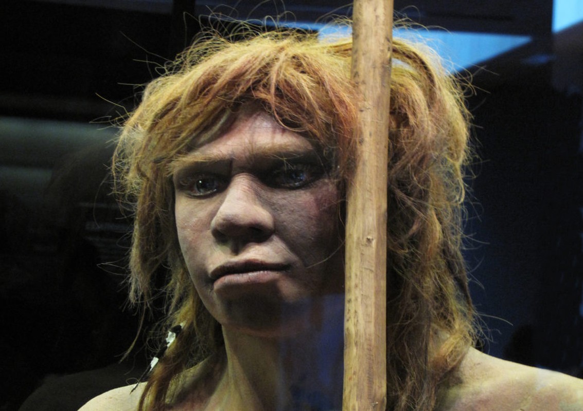 Nguoi Neanderthal thong minh vuot troi, vi sao tuyet chung tu 40.000 nam truoc?-Hinh-7