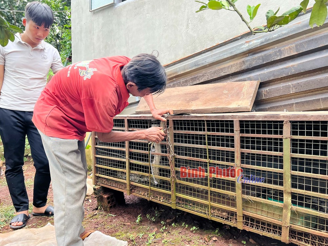 Giao nop tran dat khung 15 kg o Binh Phuoc: Loai quy hiem nhat VN!-Hinh-2