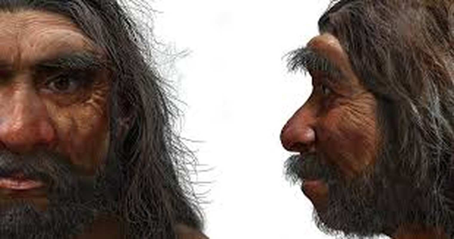 Chan dong bang chung nguoi hien dai giao phoi nguoi Neanderthal: Lich su viet lai?-Hinh-5