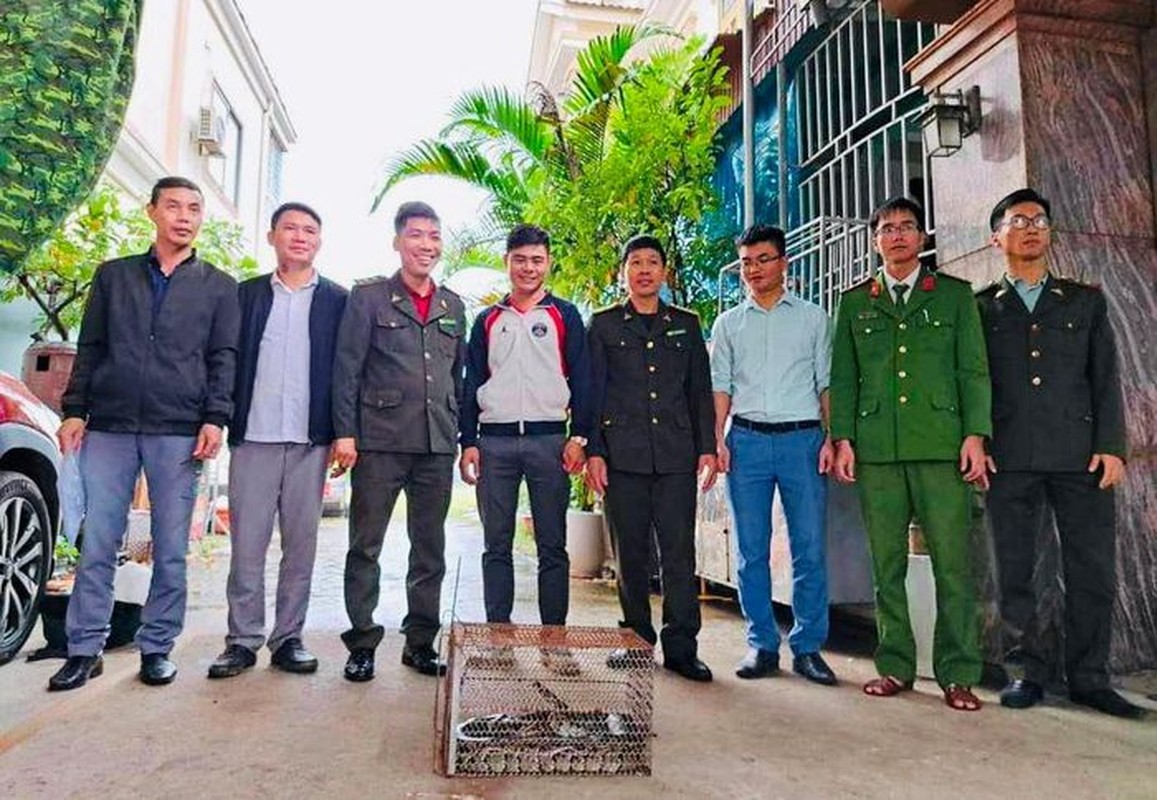 Ban giao ca the tran dat cho VQG Vu Quang: Loai “quy nhu vang