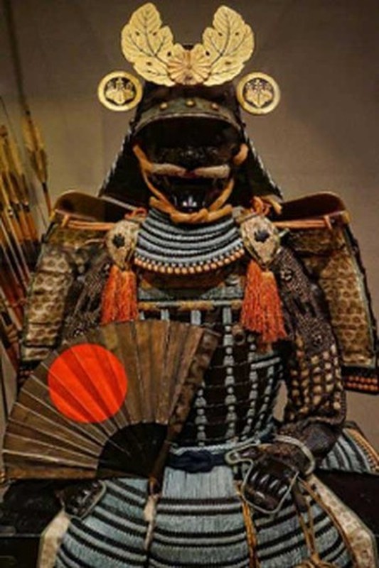 Sung sot cuon bi kip co lo “suc manh sieu nhien” cua samurai Nhat Ban-Hinh-8