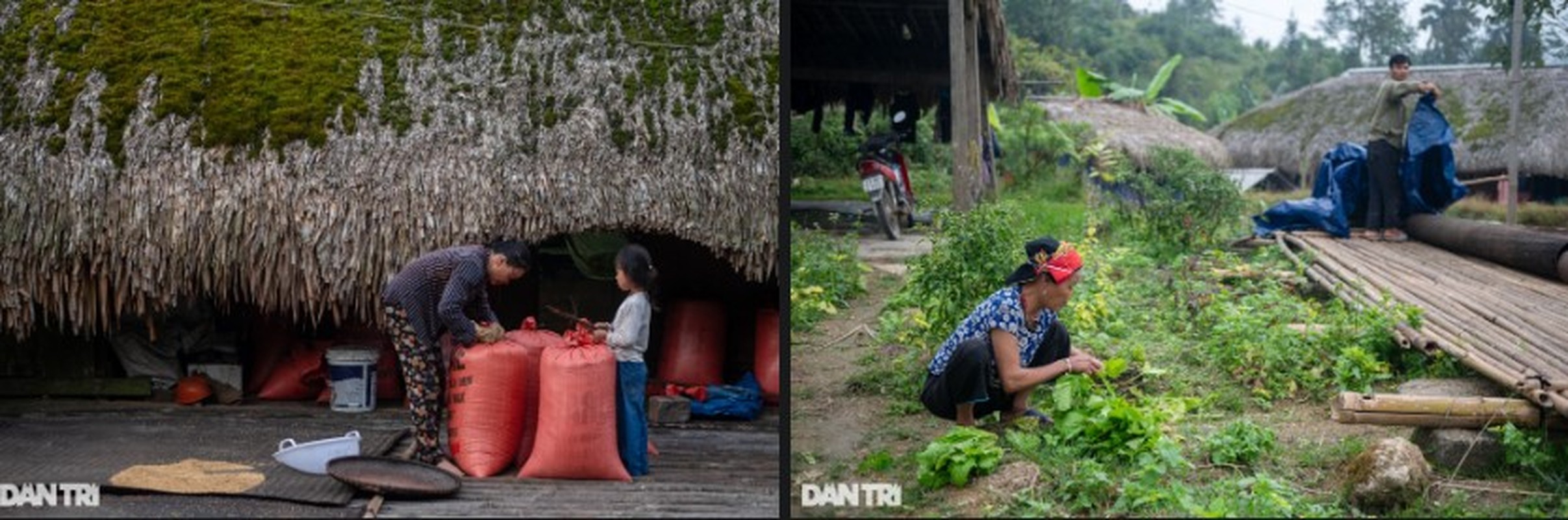 Ngoi lang co tich, ngoi phu reu xanh o Ha Giang-Hinh-8