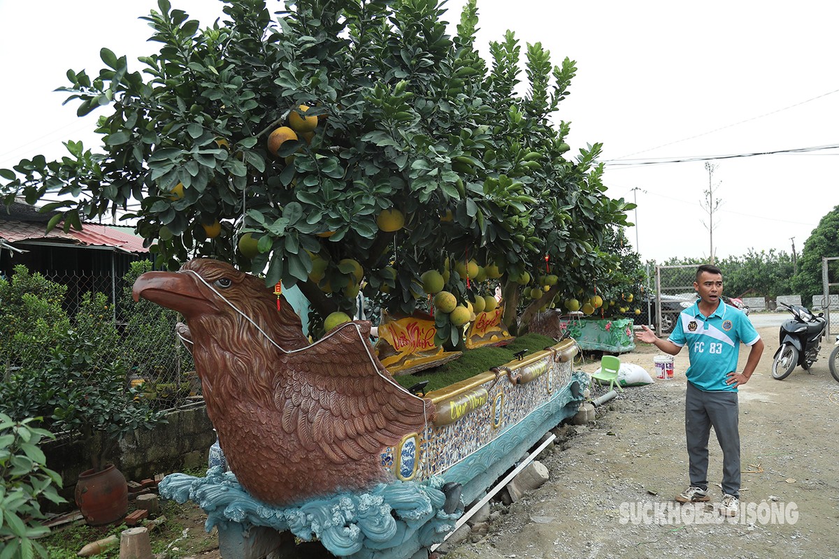 Muc so thi chau buoi gia hang tram trieu dong-Hinh-4