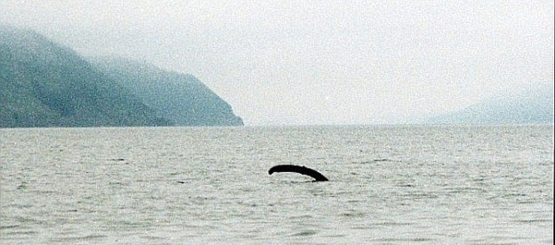 Xon xao bang chung ve su ton tai cua quai vat ho Loch Ness-Hinh-7