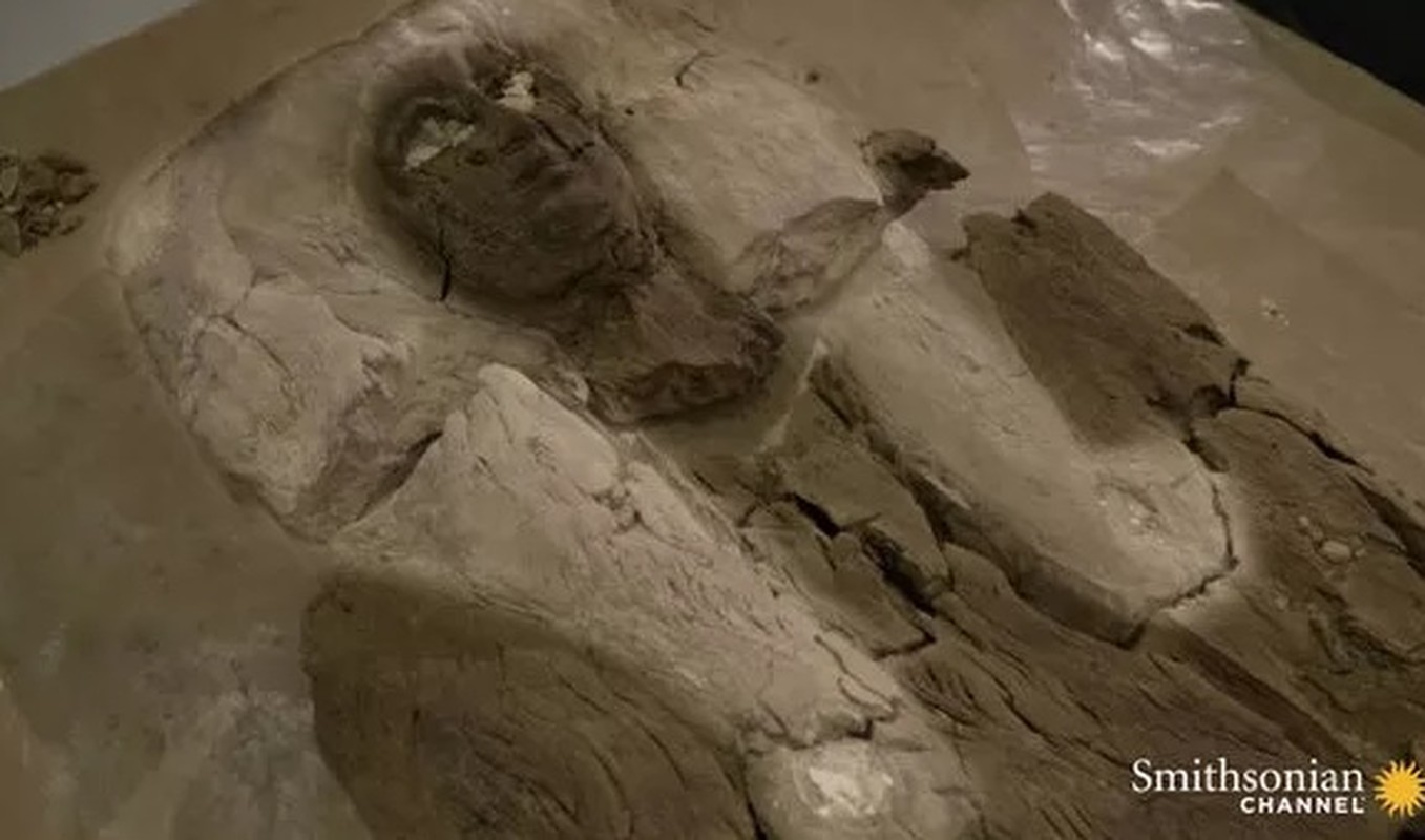 View - 	Mở mộ pharaoh Ai Cập giật mình thấy xác ướp mỹ nhân đi lạc