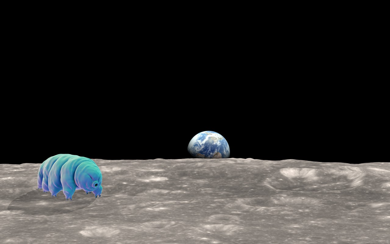 View - 	Lộ diện quái vật bất tử có thể đang sống khỏe trên Mặt Trăng