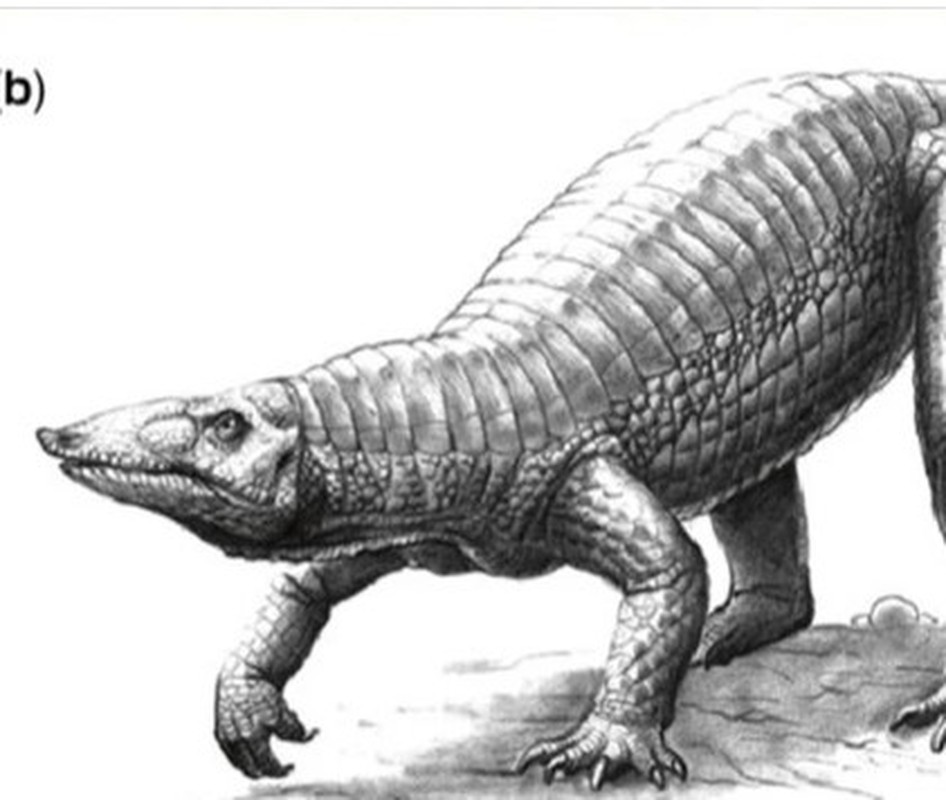 View - 	Lộ diện quái thú đầu đại bàng mình cá sấu 218 triệu tuổi 