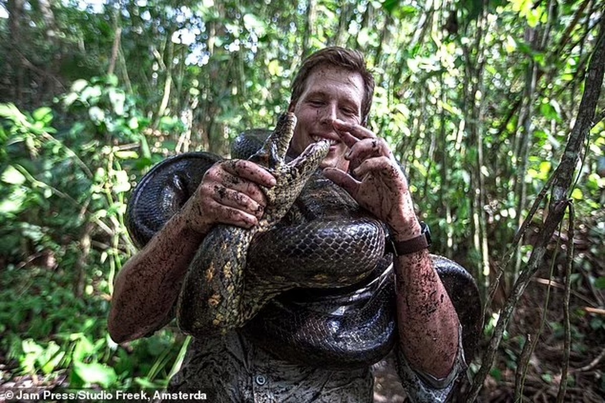 Tan muc tran Anaconda khung 200 kg bat ngo lo dien o Amazon-Hinh-7